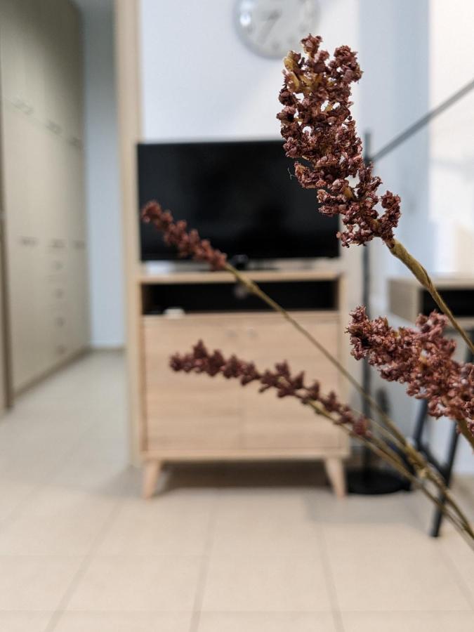 Cozy Apartment Near The City Centre 伊拉克利翁 外观 照片