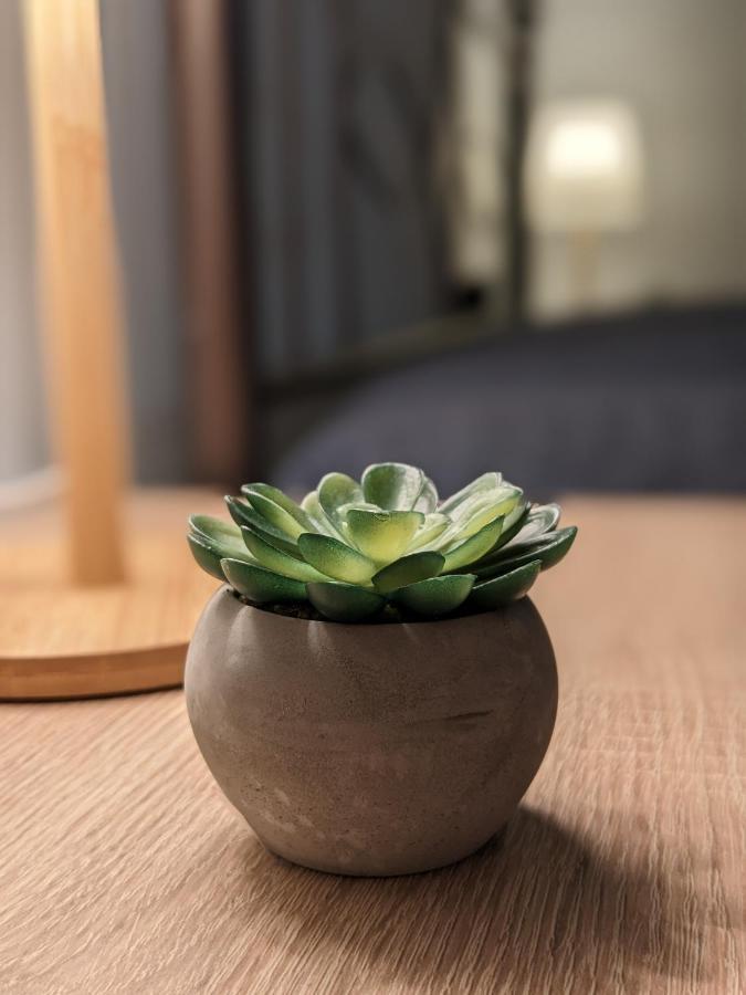 Cozy Apartment Near The City Centre 伊拉克利翁 外观 照片